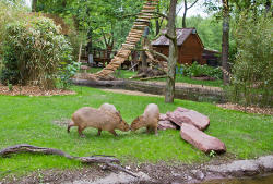 Capybaras in der neuen Anlage<br>(c) Zoo Leipzig