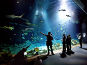 Tropen-Aquarium Hagenbeck in Hamburg-Stellingen